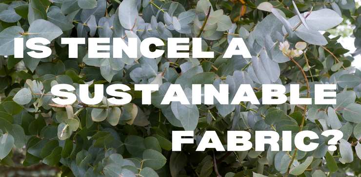 Is tercel sustainable